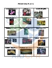 Lists and Images of Poisoning Plants. All Ages. Safety.