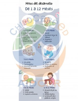 Hitos del Desarrollo de 1 a 12 Meses