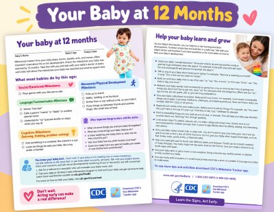 Developmental Milestones Checklist (1 yr)(English)