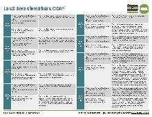 Las 8 &Aacute;reas Tem&aacute;ticas del CDA en Espa&ntilde;ol